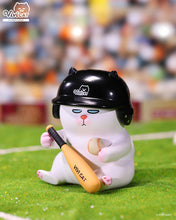 Load image into Gallery viewer, Pop Mart x Vivicat Helmet Series