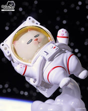 Load image into Gallery viewer, Pop Mart x Vivicat Helmet Series