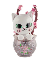 Load image into Gallery viewer, Tokidoki Cherry Blossom Cats Series - Blind Box